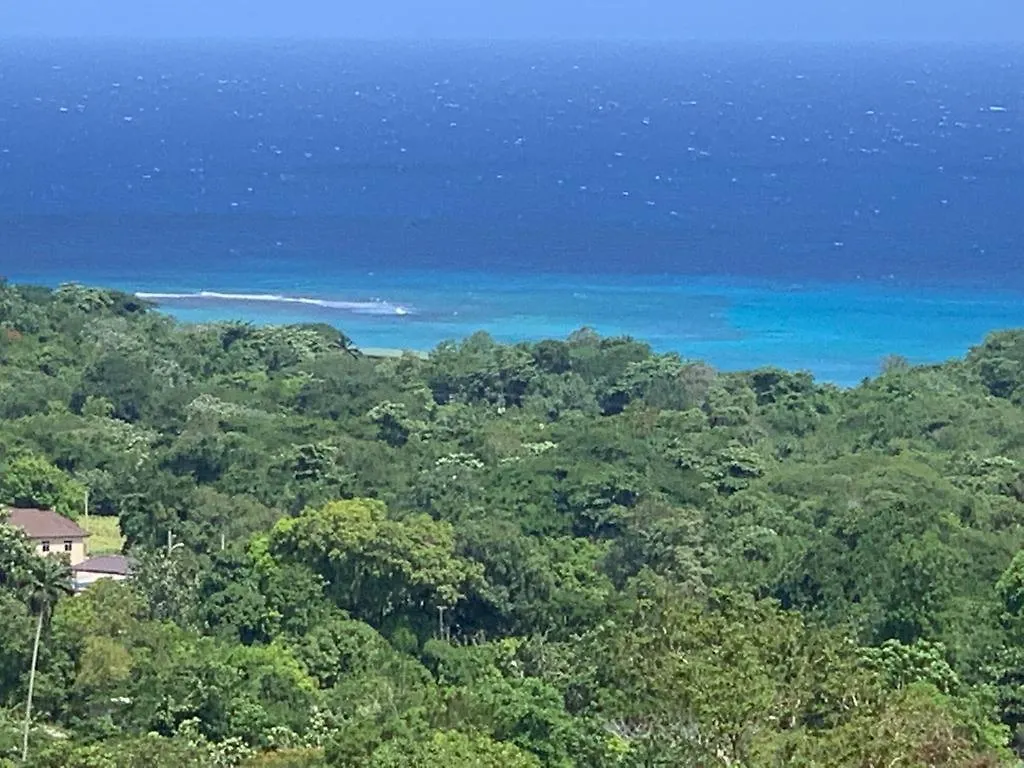Rio View Apartments Ocho Rios